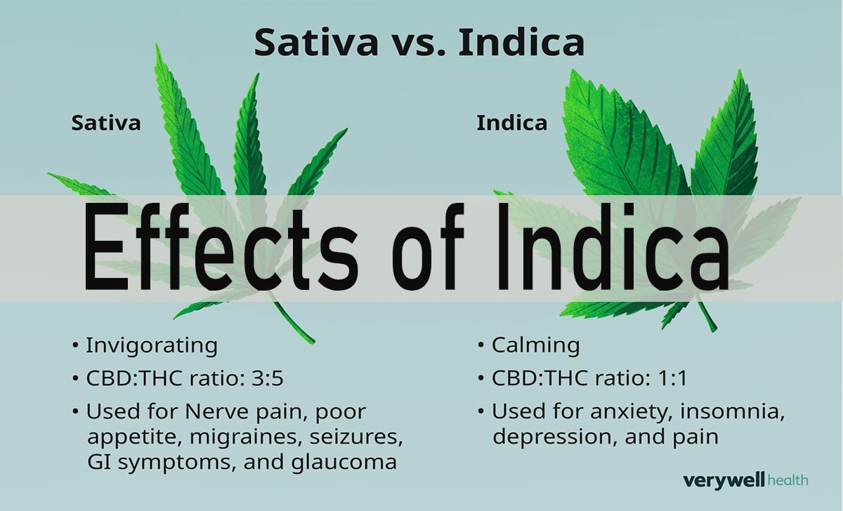 Understanding the Effects of Indica Cannabis Strains