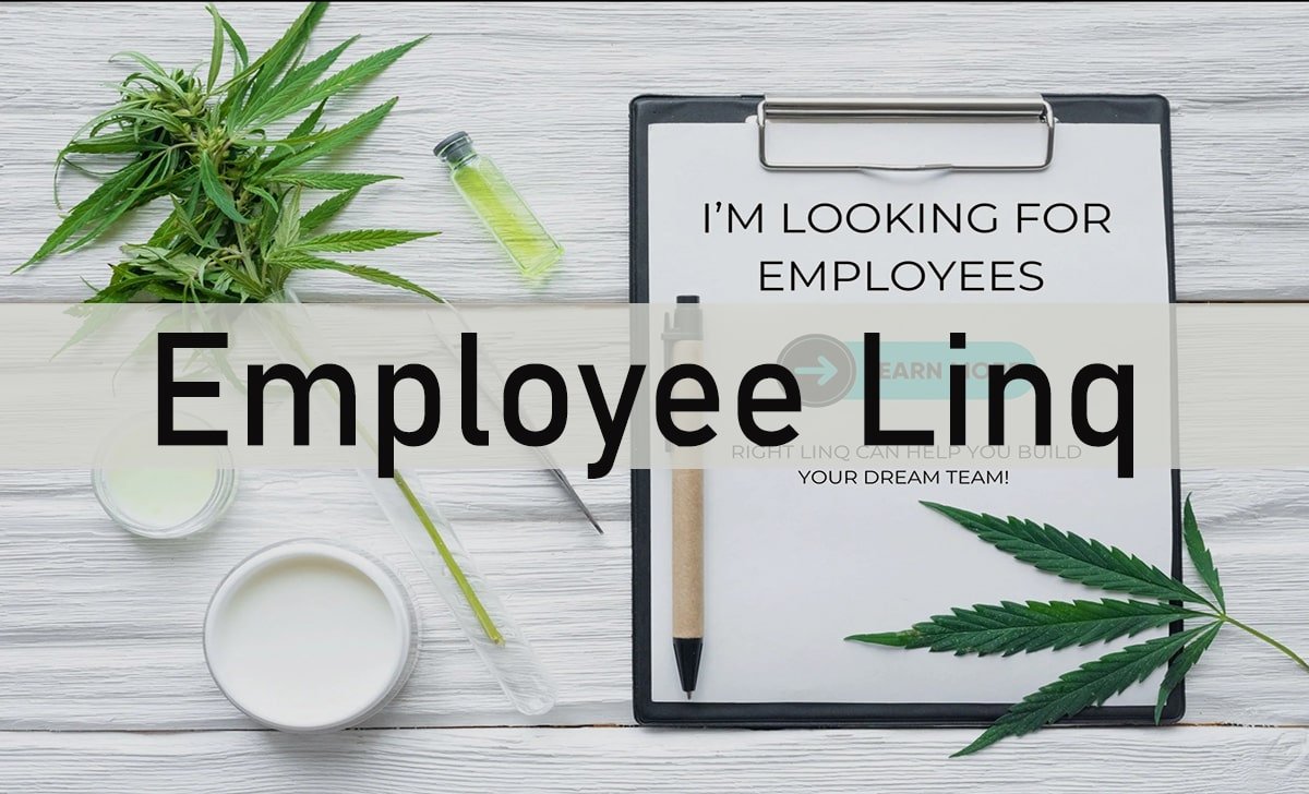 Transform Your Workplace with Employee Linq: The Ultimate Guide