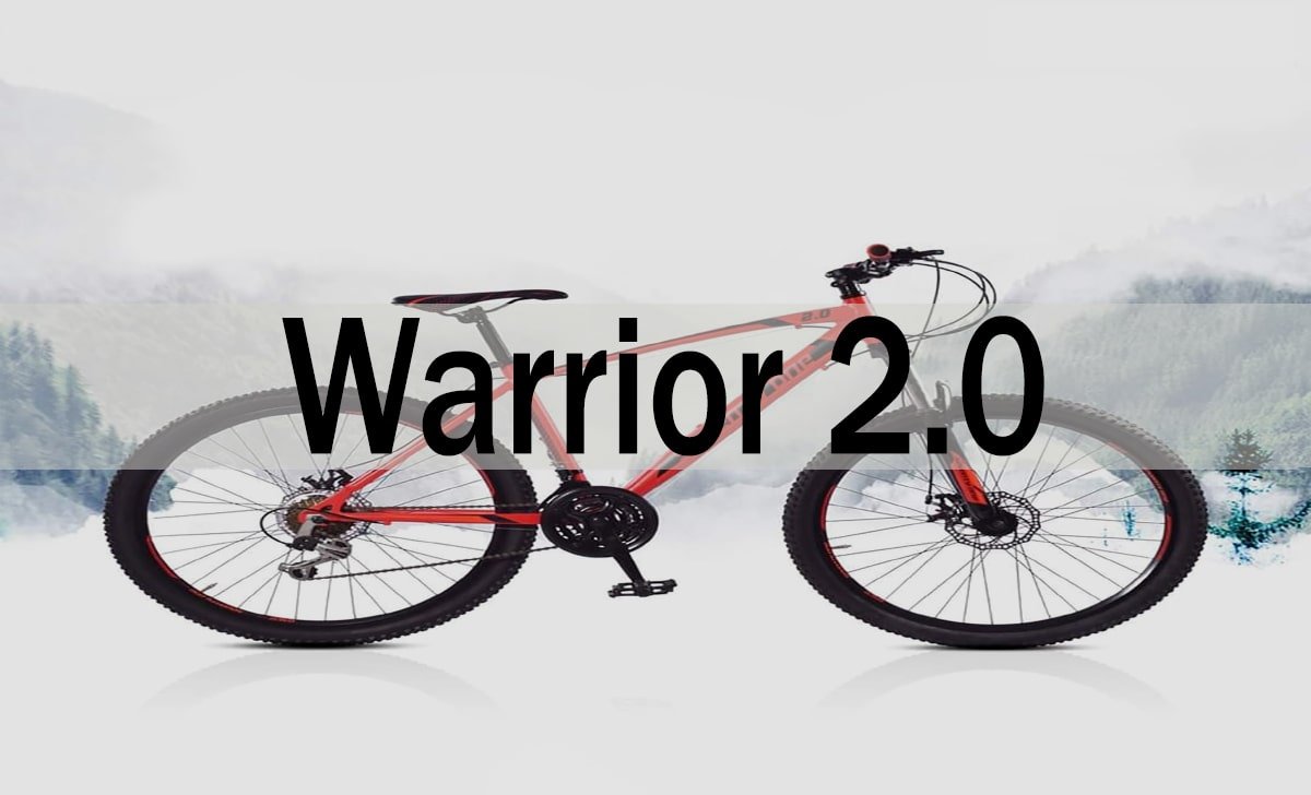 Warrior 2.0: The Ultimate Upgrade for Modern Professionals