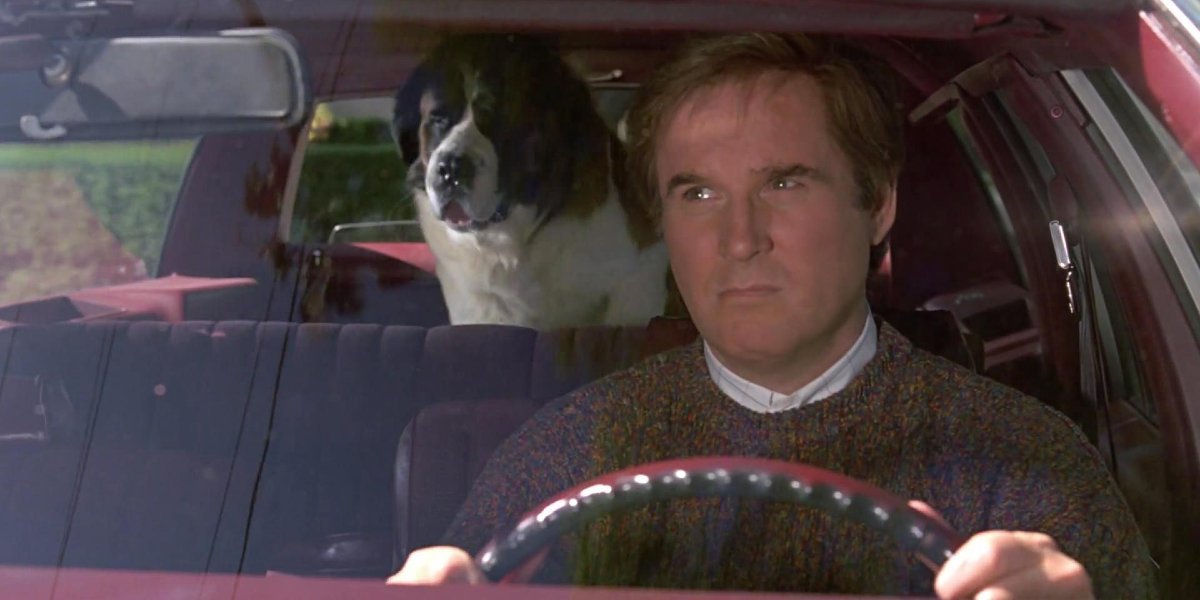 Dogs, Pigs, and Charles Grodin An Unlikely Cultural Triangle