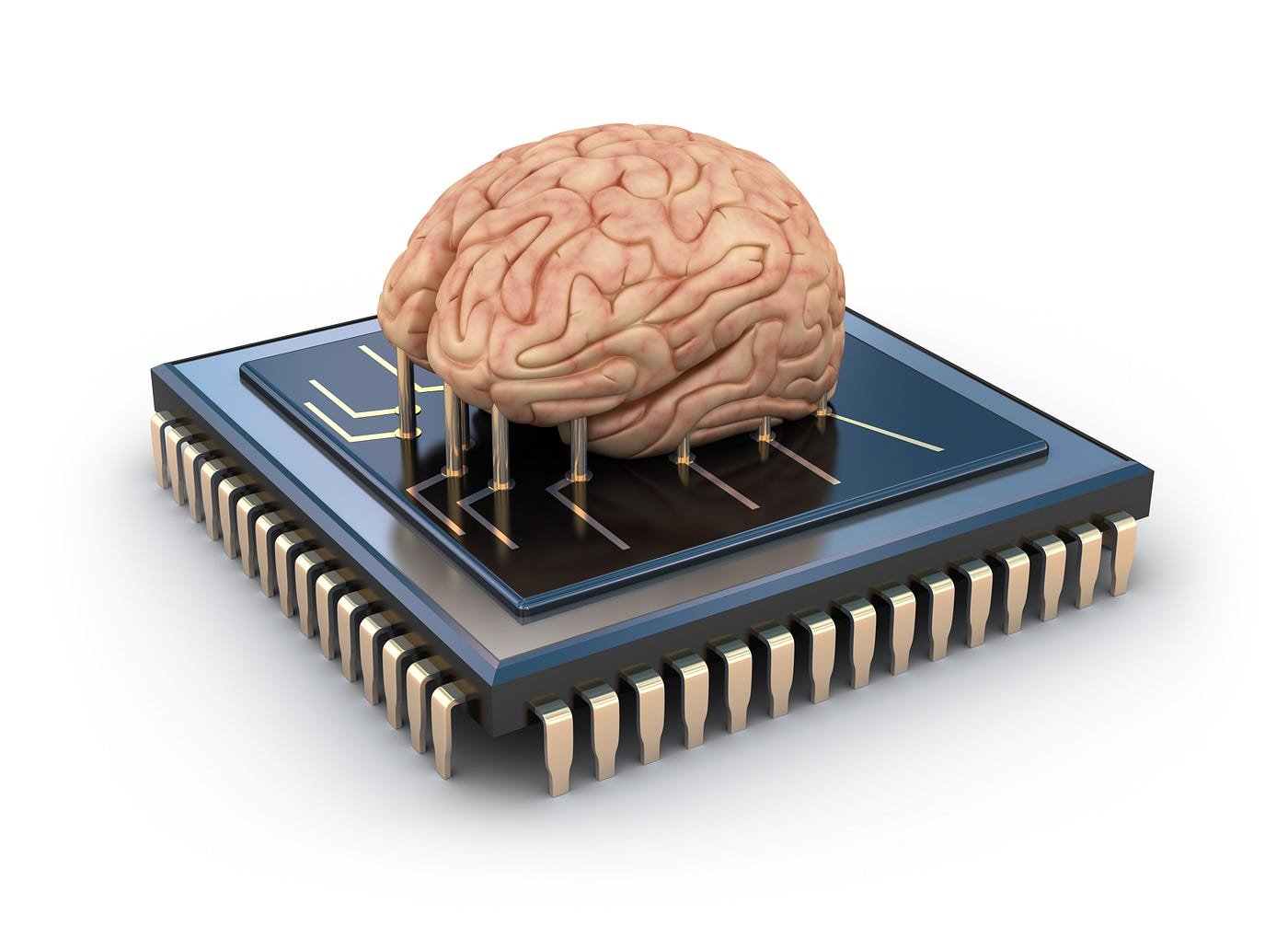 Brain of Computer — A Friendly, Clear Guide for Curious Minds