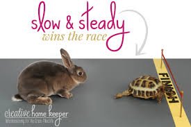 Why Slow and Steady Wins the Race (And How to Use It Every Day)